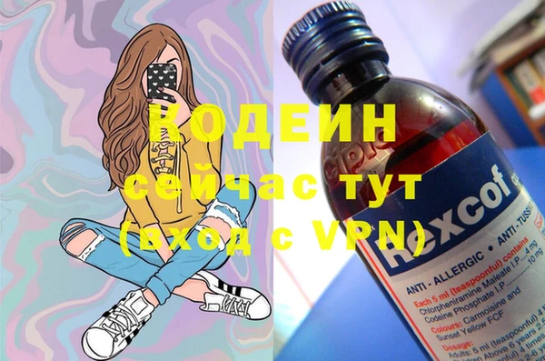 крисы Ростов