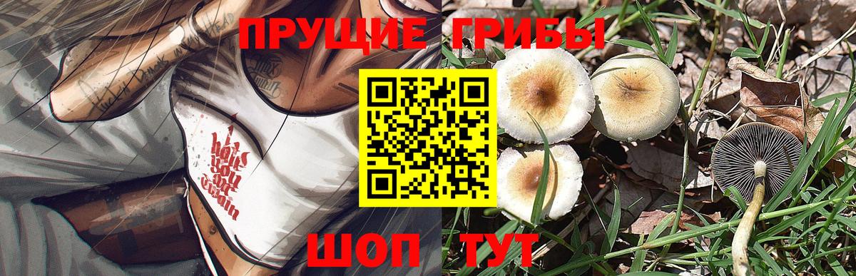 Галлюциногенные грибы мухоморы Каменка